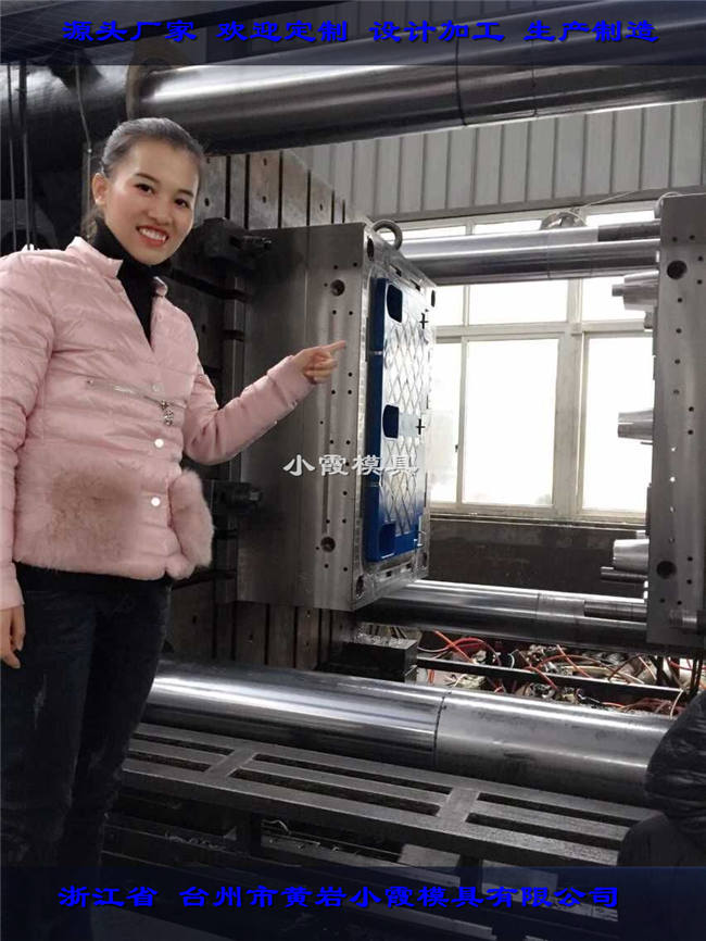 托盘模具厂 (2)
