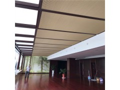 阳光房顶棚天窗遮阳电动蜂巢帘图1