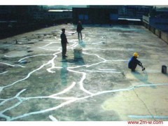 佛山防水补漏公司.南海防水补漏公司.三水防水补漏公司图1