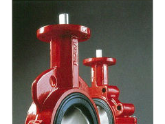 美国博雷S20/21中线蝶阀 Bray图1