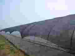 银川蔬菜大棚遮阳网图1