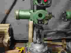 Z941Y-25P DN200罗托克电动不锈钢闸阀图1