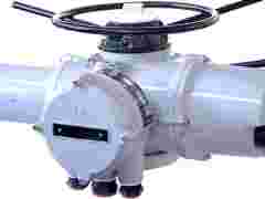 罗托克IQC12阀门电动执行器图1