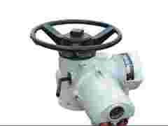 罗托克电子式多回转电动执行器IQ10图1