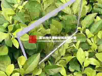 江门透明PC片_新料耐力板_透明开料图2