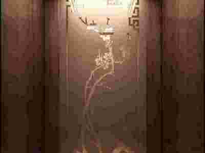 酒店高档电梯装修 太原豪华电梯装饰 山西电梯装饰装潢图3