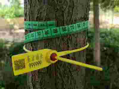 树锁,号树锁,塑料扎带图1