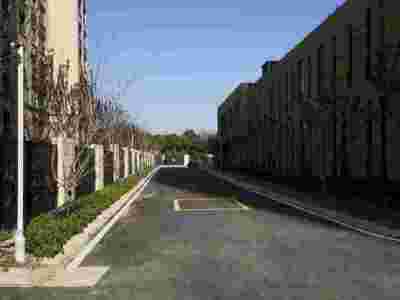 南京达尊道路交通标线划线大全及图解图2