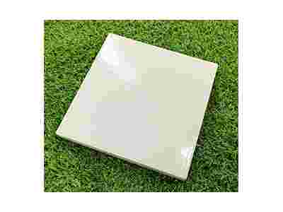 温州耐酸瓷砖图1