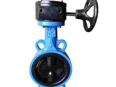 D371J-16 蜗轮对夹全衬胶蝶阀图1