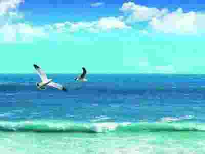 2022中国教育装备展览会|东北教育装备展览会|辽宁教育展图1