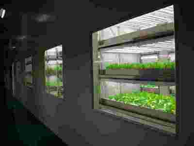 人工气候室【筑安金】图1