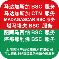 马达加斯加BSC NUMBER几天申请好