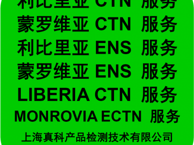 如何办理塞拉利昂ESN货物追踪单图1