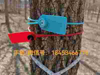 树锁标牌号树锁 卡扣封签图1