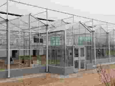通辽奈曼旗科研玻璃智能温室项目建成图2