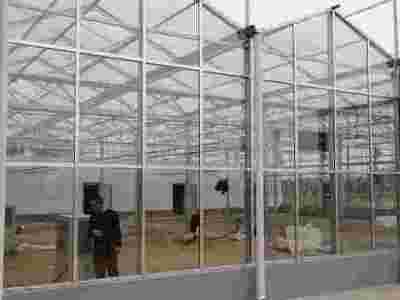 通辽奈曼旗科研玻璃智能温室项目建成图3