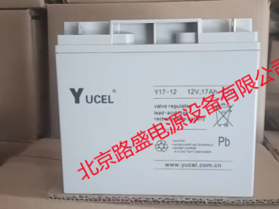 英国YUCEL蓄电池Y12-12 12V12AH中国办事处图1