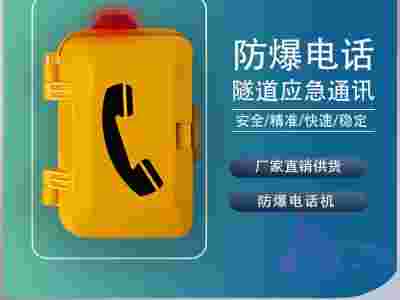 隧道**管理系统隧道人员定位系统隧道应急电话批发图4