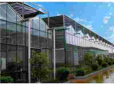 承接西藏拉萨日喀则蔬菜温室大棚育苗温室大棚【筑安金】图1