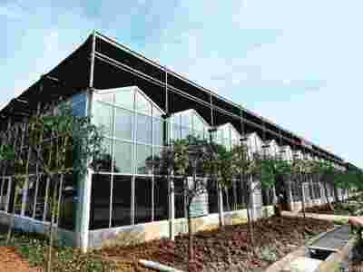 承接西藏拉萨日喀则蔬菜温室大棚育苗温室大棚【筑安金】图2
