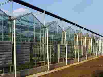 承接新疆乌鲁木齐阿勒泰蔬菜温室大棚育苗温室大棚【筑安金】图2