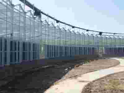 承接新疆乌鲁木齐阿勒泰蔬菜温室大棚育苗温室大棚【筑安金】图1