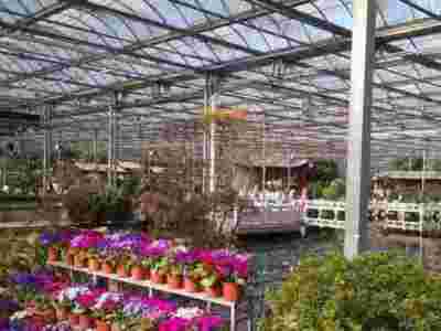 承接青海西宁海东蔬菜温室大棚育苗温室大棚【筑安金】图2