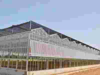 承接山西太原临汾蔬菜温室大棚育苗温室大棚【筑安金】图2