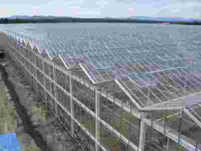 承接湖南长沙玻璃智能温室大棚蔬菜温室大棚【筑安金】图1