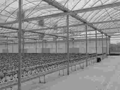 承接湖南长沙玻璃智能温室大棚蔬菜温室大棚【筑安金】图2