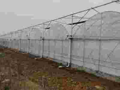 承接湖南长沙玻璃智能温室大棚蔬菜温室大棚【筑安金】图3