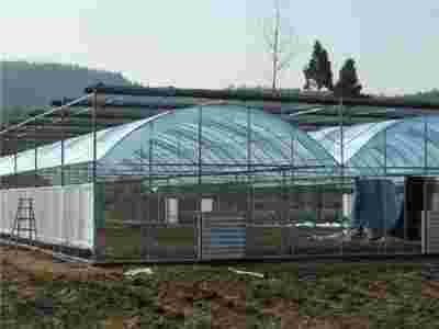 承接湖北武汉蔬菜温室大棚育苗温室大棚【筑安金】图2