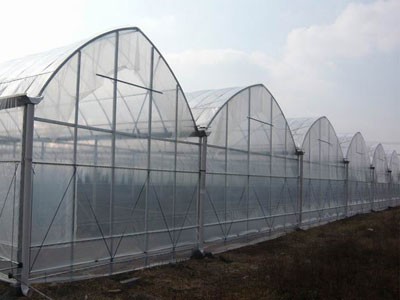 承接四川成都蔬菜温室大棚育苗温室大棚【筑安金】图2