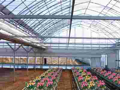 承接四川成都蔬菜温室大棚育苗温室大棚【筑安金】图3