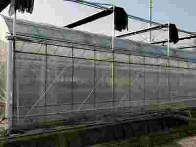 承接广西南宁柳州蔬菜温室大棚育苗温室大棚【筑安金】图2