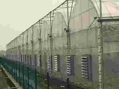 承接广西南宁柳州蔬菜温室大棚育苗温室大棚【筑安金】图3