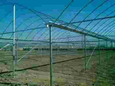 承接广西南宁柳州蔬菜温室大棚育苗温室大棚【筑安金】图1