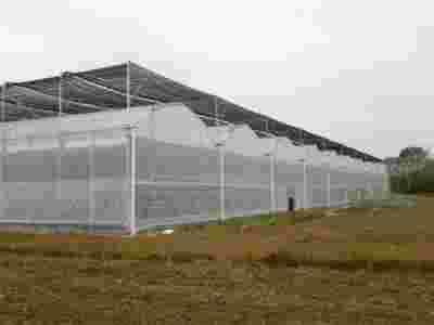 承接云南昆明昭通蔬菜室大棚育苗温室大棚【筑安金】图2