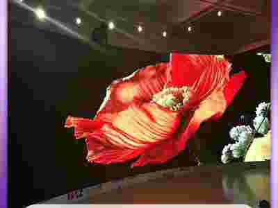 会议室室内全彩LED显示屏广州室内全彩P2.5显示屏政务图2