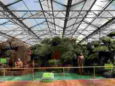 西藏那曲阿里荷兰式玻璃智能温室大棚建造温室大棚安装调试图2