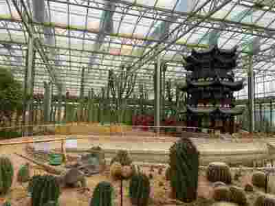 克孜勒苏和田玻璃智能温室大棚建造温室大棚安装调试图2