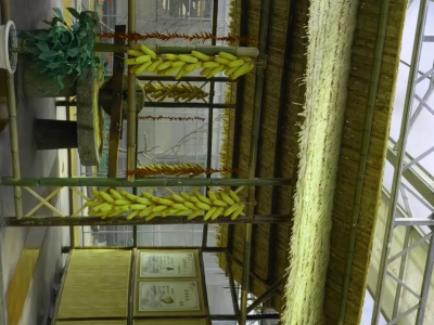 双鸭山七台河文洛式玻璃智能温室大棚建造温室大棚安装调试图2