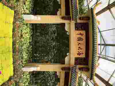 大庆佳木斯文洛式玻璃智能温室大棚建造温室大棚安装调试图2