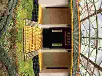 大庆佳木斯文洛式玻璃智能温室大棚建造温室大棚安装调试图4