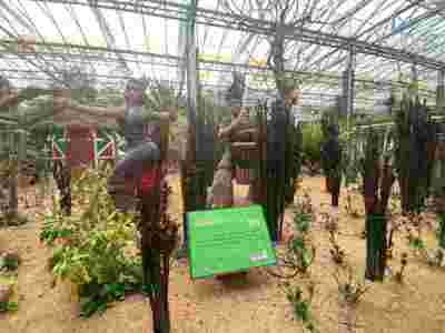 菏泽滨州文洛式玻璃智能温室大棚建造温室大棚安装调试图4