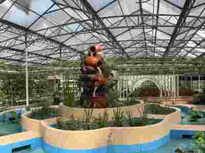 大同阳泉文洛式玻璃智能温室大棚建造温室大棚安装调试图6