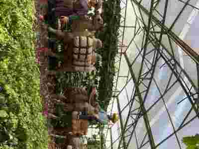 朔州晋中文洛式玻璃智能温室大棚建造温室大棚安装调试图5