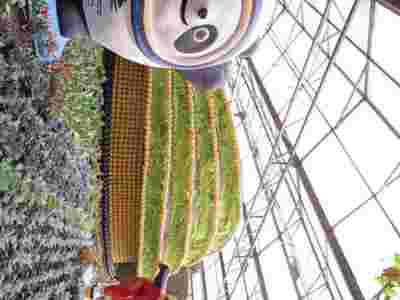 长沙荷兰式玻璃智能温室大棚建造温室大棚安装调试图1