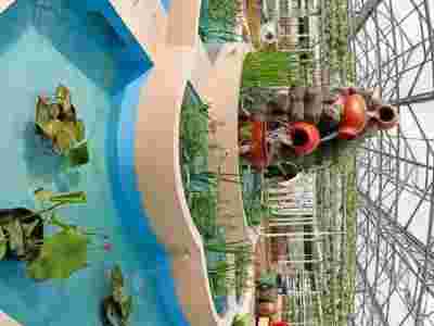 长沙荷兰式玻璃智能温室大棚建造温室大棚安装调试图5